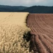 Arsa Payının Düzeltilmesi Davası: Şartları ve Dava Süreci